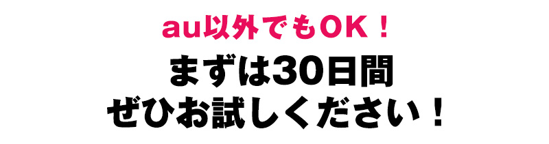au公式だから安心!まずは30日間是非お試しください